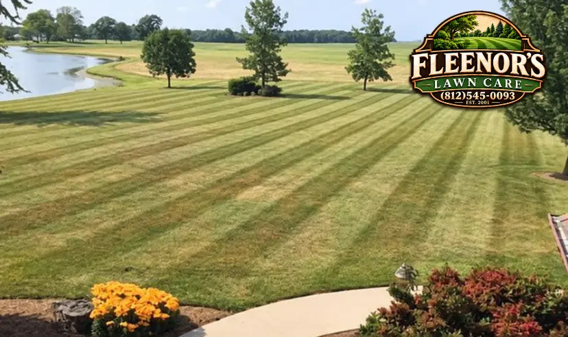 Wide mowing stripes on an expansive lawn beside a pond