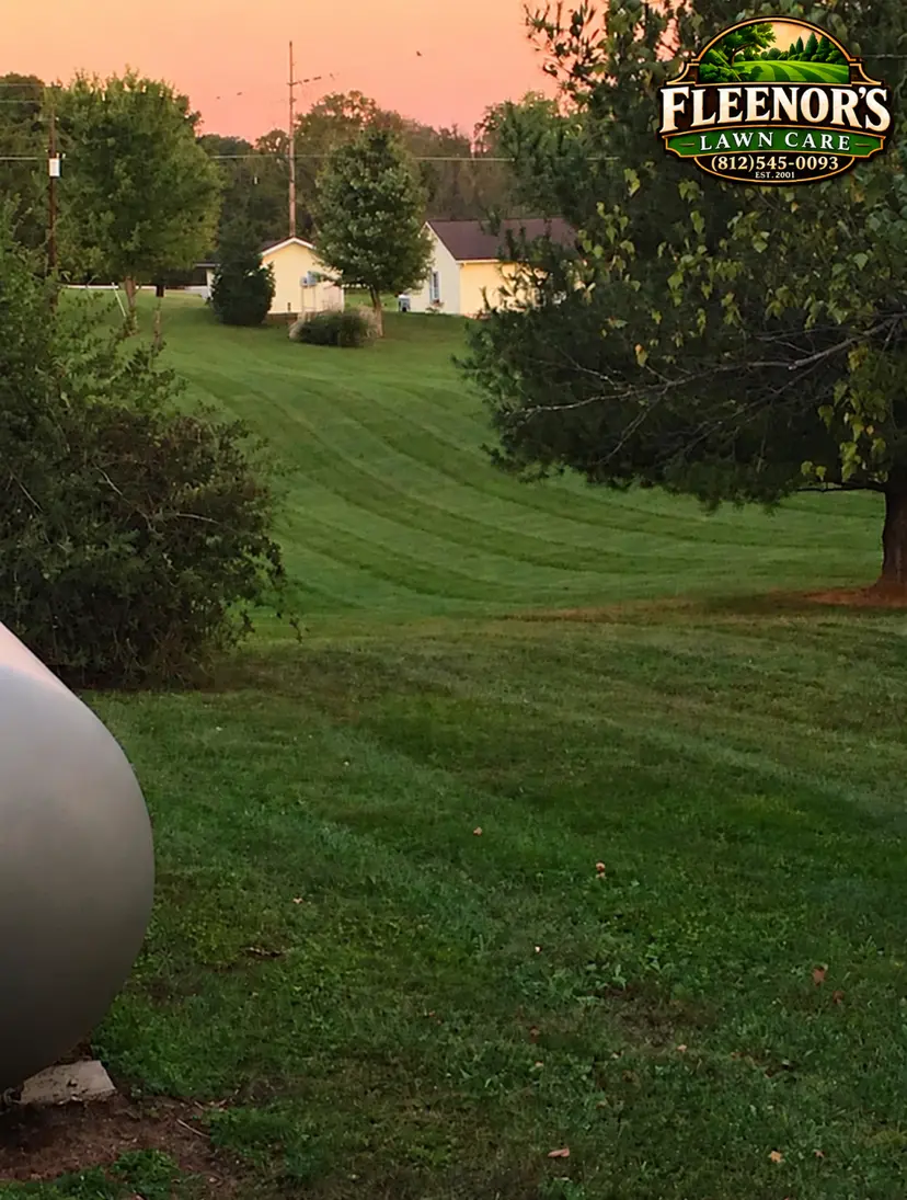 A freshly mown lawn curving between trees in warm evening light
