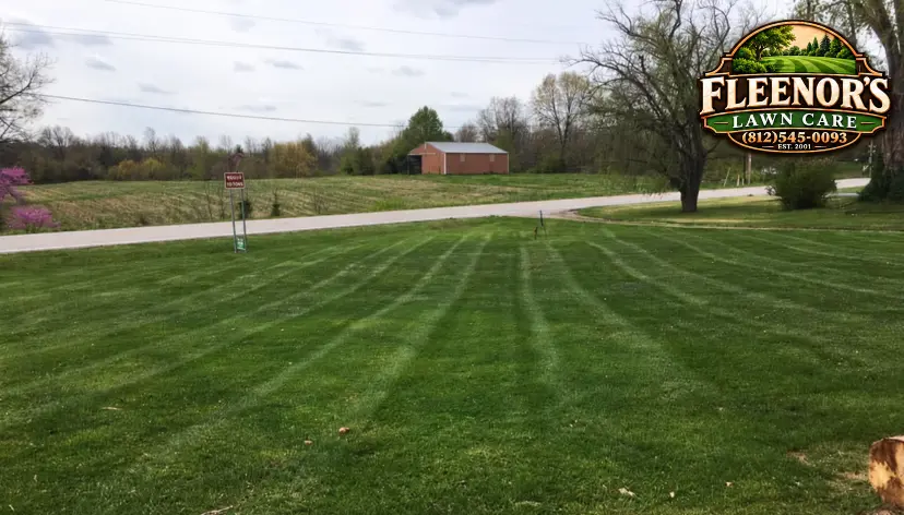 Neat mowing stripes on a roadside lawn bordered by trees
