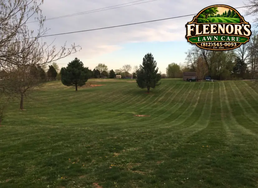Mowing stripes following the contours of a large property with scattered trees
