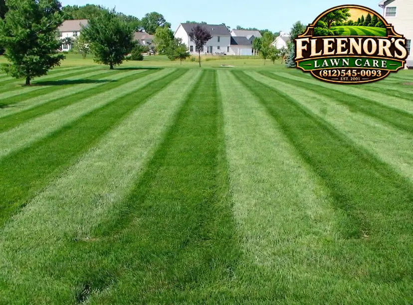 Long, alternating lawn stripes across a green residential backyard