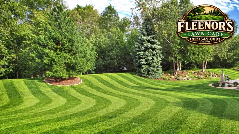 Curved mowing stripes around landscaped beds and evergreen trees