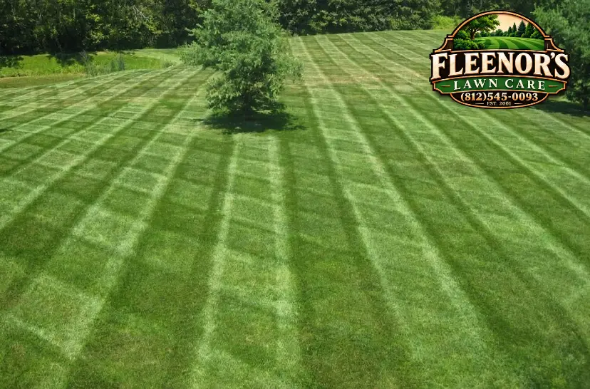 Crosshatched mowing stripes surrounding a small tree on a broad lawn
