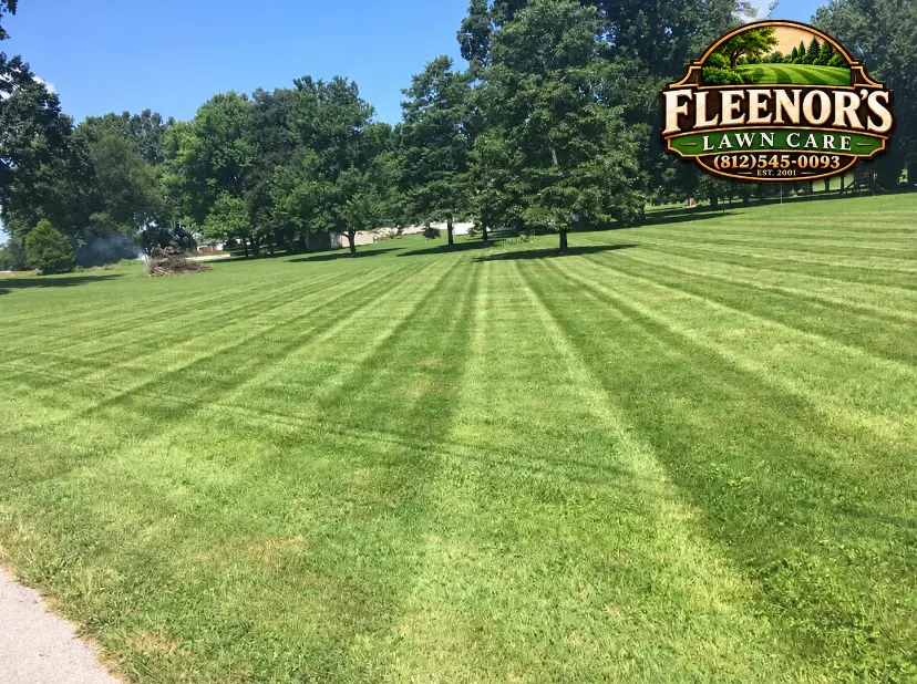 Straight mowing stripes across an open lawn edged by mature shade trees
