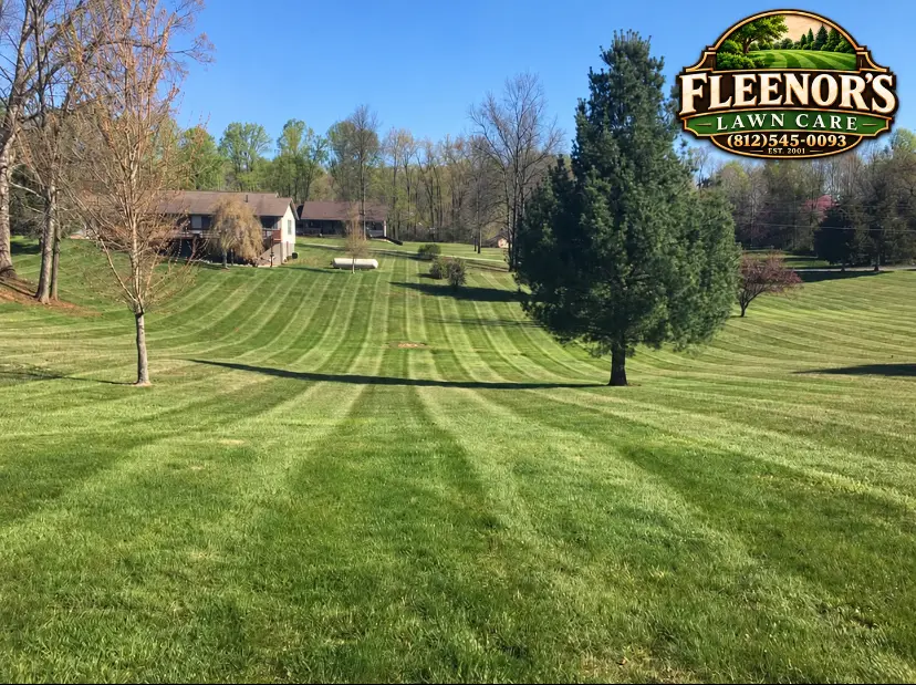 Long mower stripes across a rolling property with a house and mature trees
