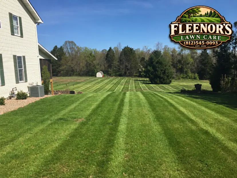 Striped lawn alongside a two-story light-sided home and wooded border