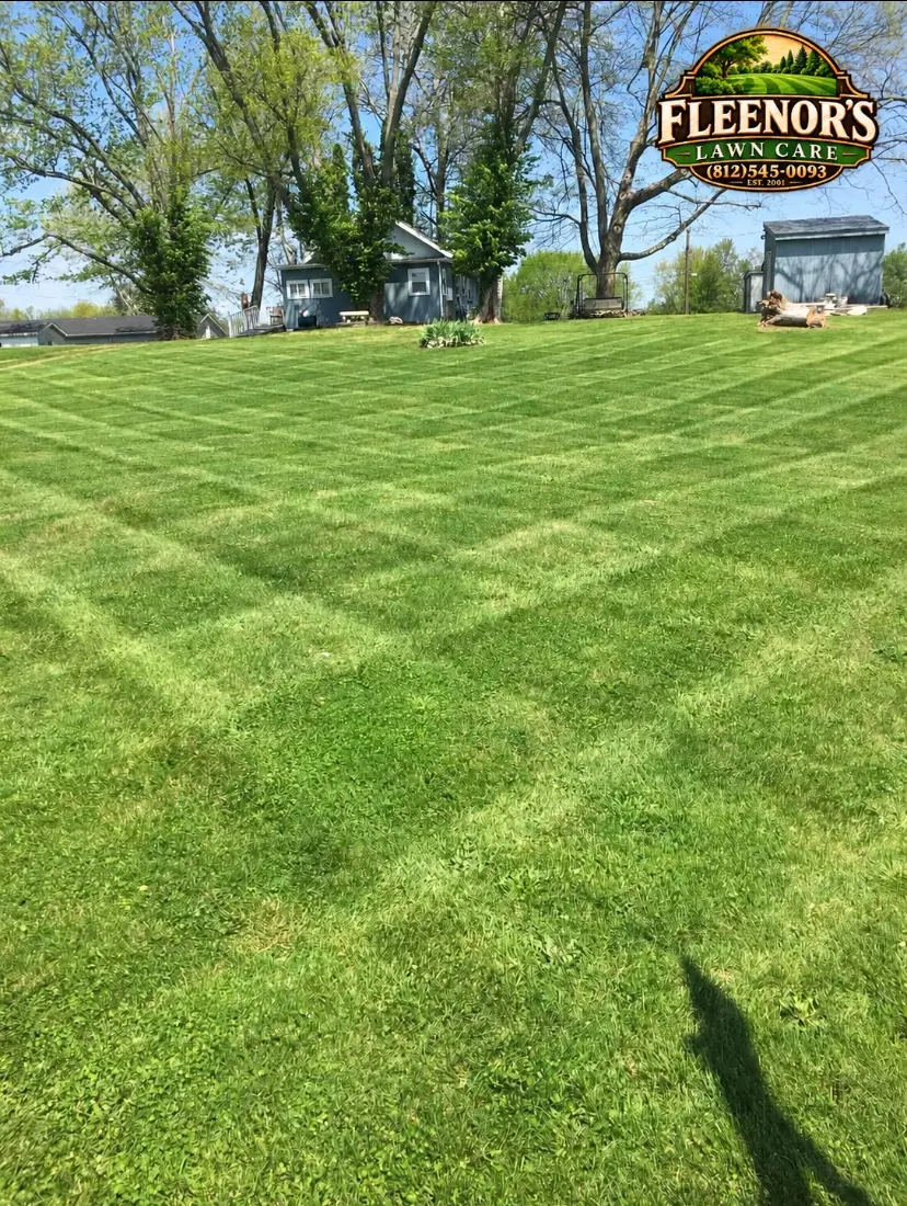 Mowing stripes across a sloping backyard with shade trees and garden sheds