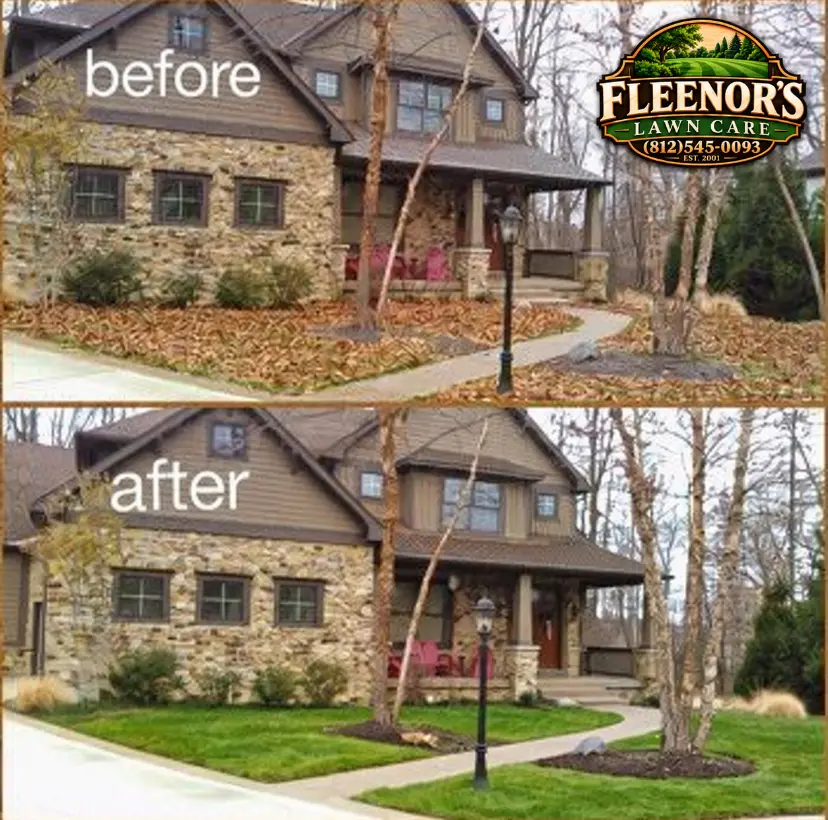 Before-and-after views of a leaf-covered front yard and the same yard after cleanup
